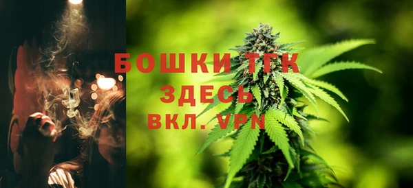 2c-b Корсаков